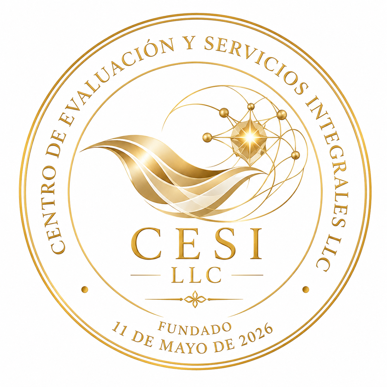 cesillcpr.com